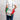 Lady 24 Italian Flag