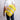 Icon Tela